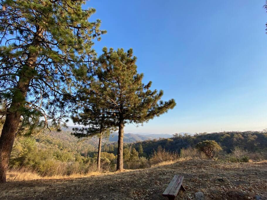 Modern Airstream With Amazing View - 10 To 15 Minutes From Kings Canyon National Park Dunlap Екстер'єр фото